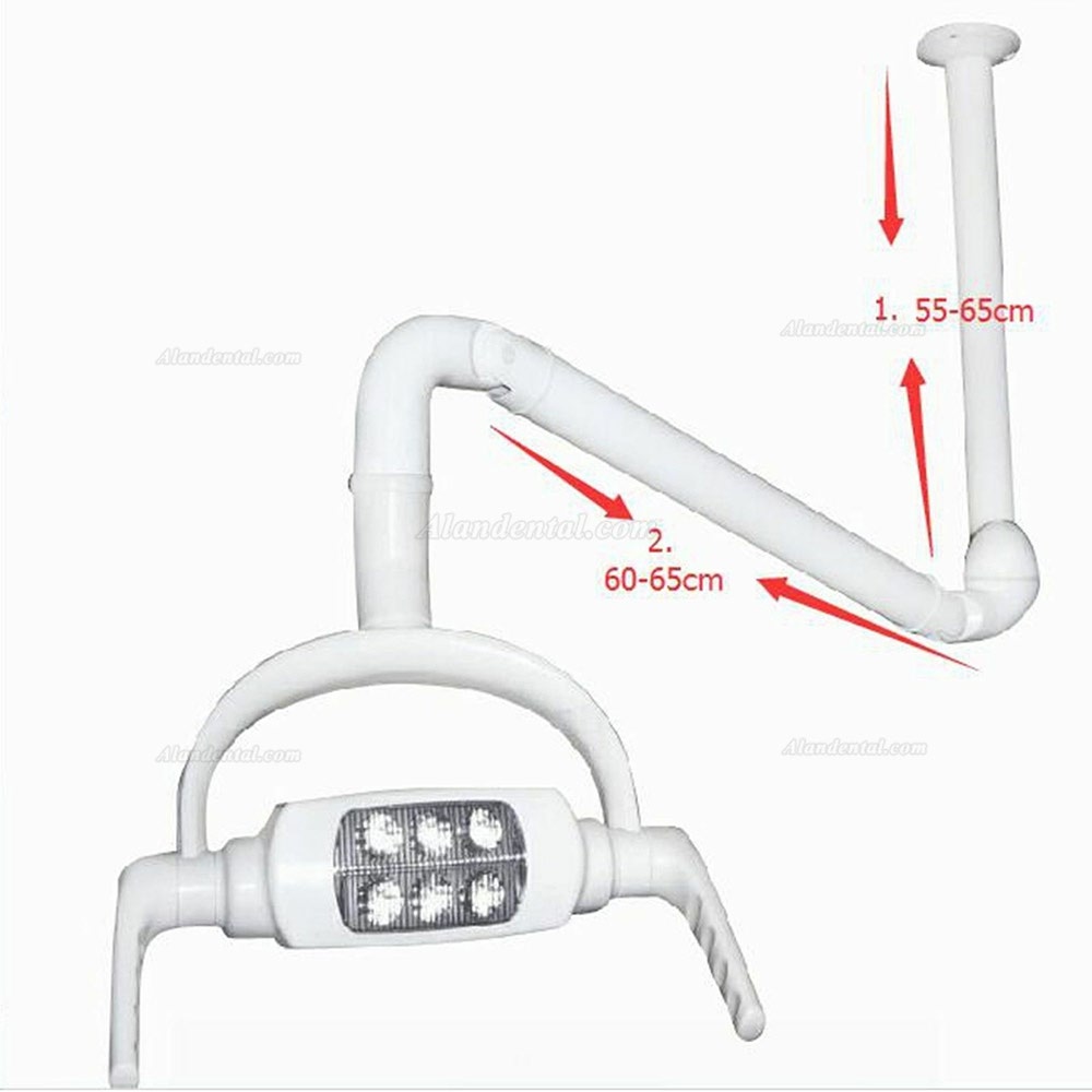 Dental Oral Light Lamp Operating Lamp 6 LED Lens Ceiling-mounted Type With Arm